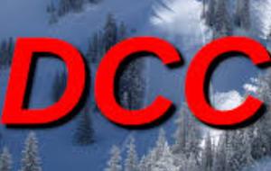 祝贺实验室一项科研成果被 DCC 录用！